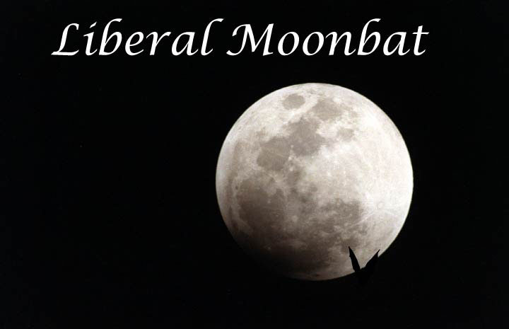 Moonbat in flight